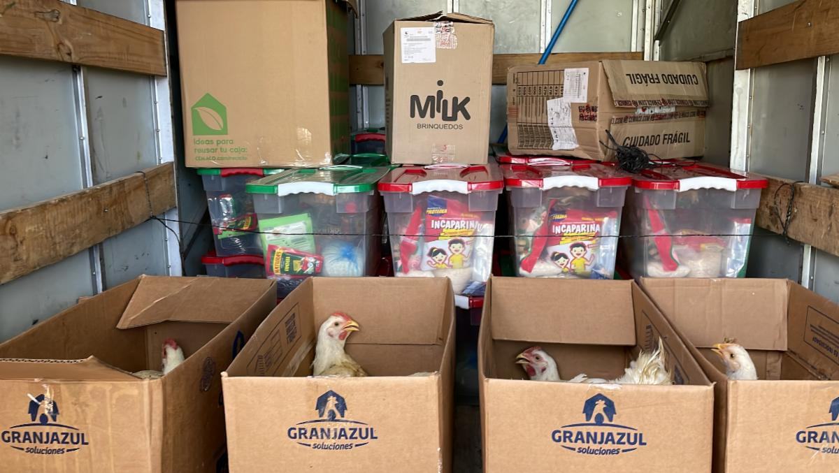 Boxes to give aleluya