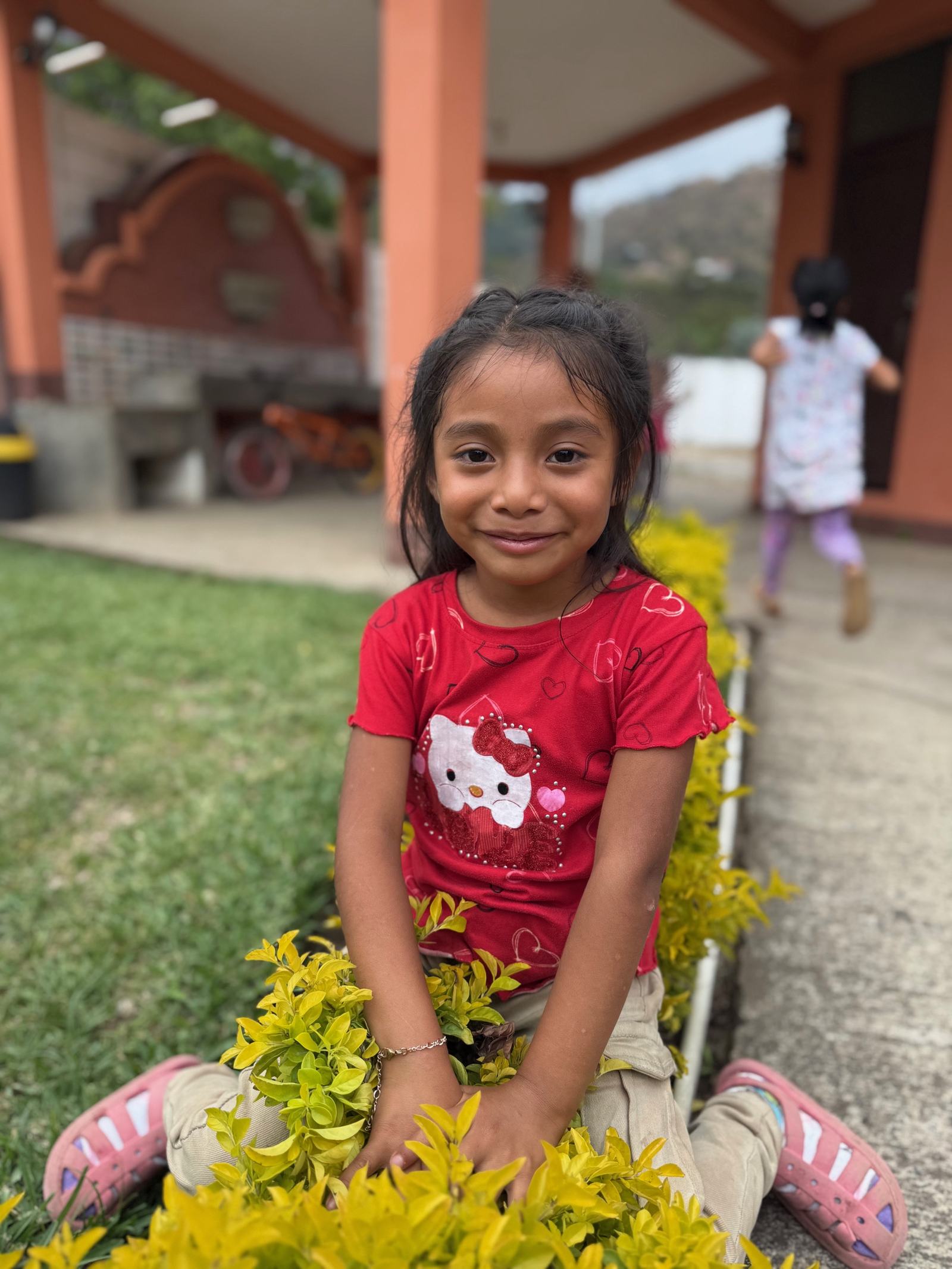 with yellow flowers aleluya