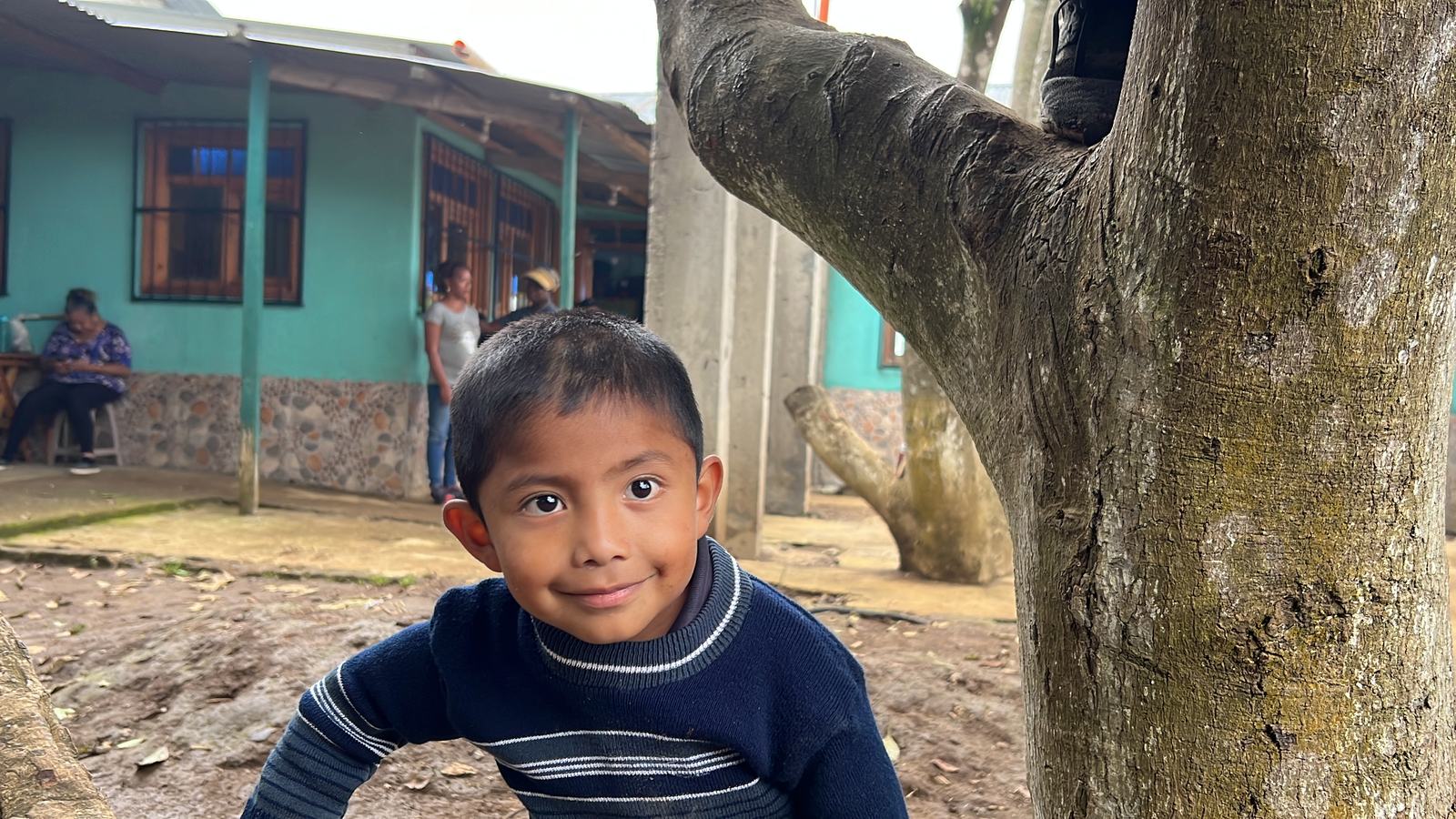 Smile and tree aleluya