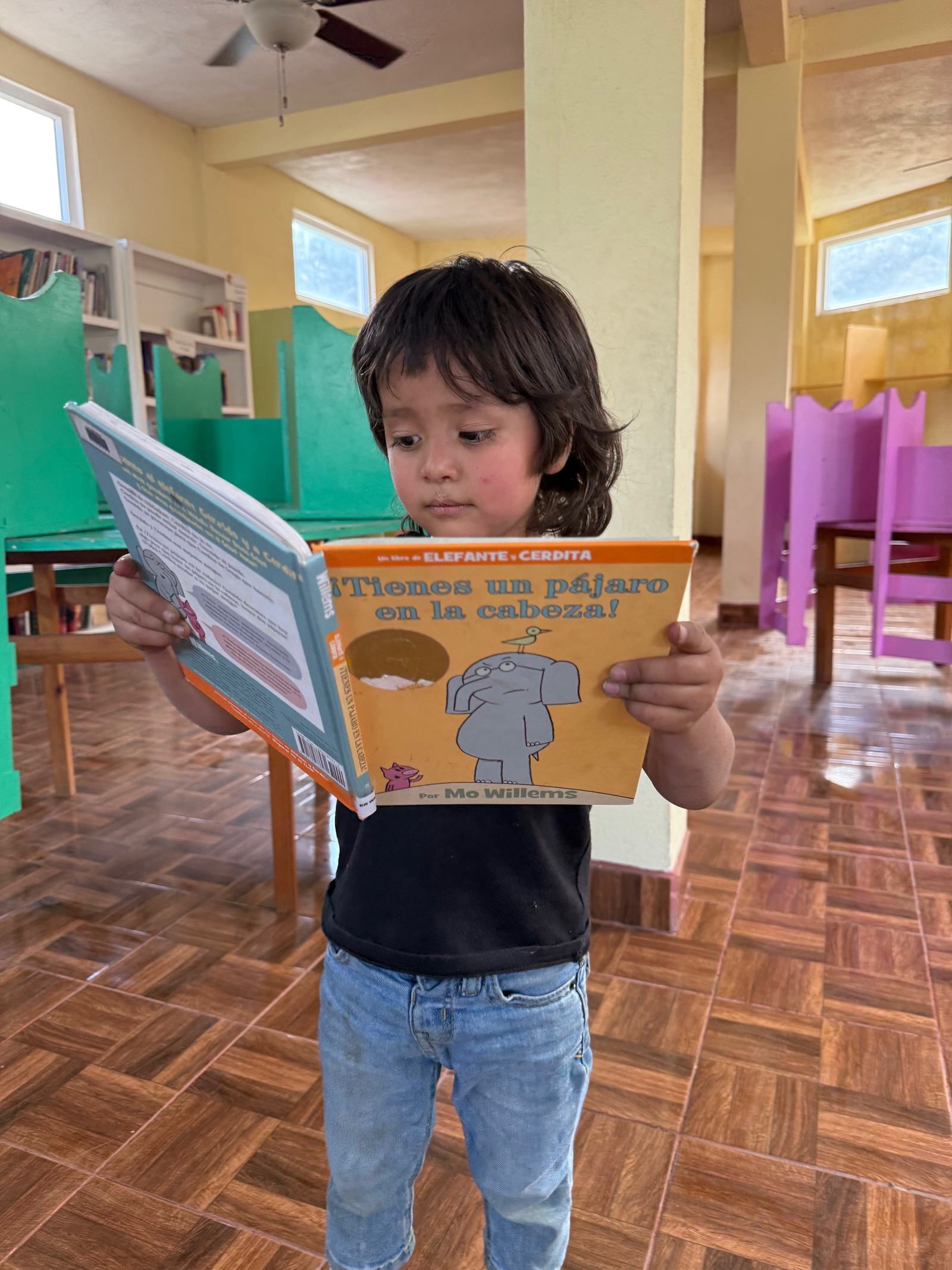read book aleluya