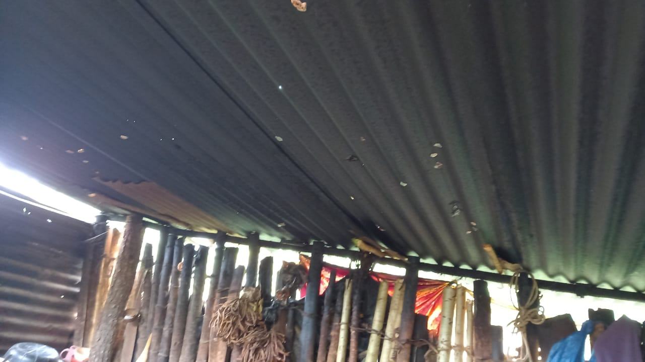 roof aleluya